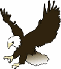 Аватар для Eagle