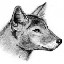 Аватар для Wolfcub