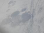 Круги на снегу. Монголия. Вид с самолёта. 1.