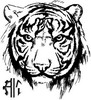 Аватар для XOLOD