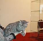 Lucky Blues & Harita La-push