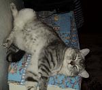 Lucky Blues & Harita La-push