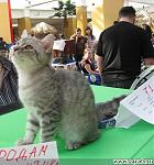 Lucky Blues & Harita La-push